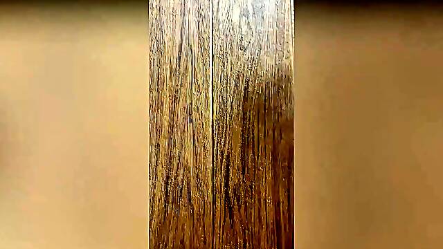 Abella Anderson Takes Guy Home To Fuck